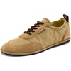 Summer Wheat